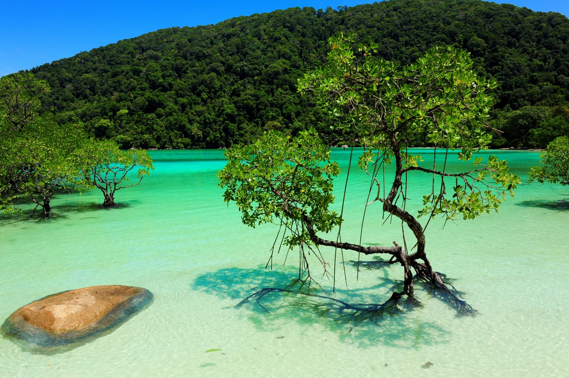 Le isole Surin