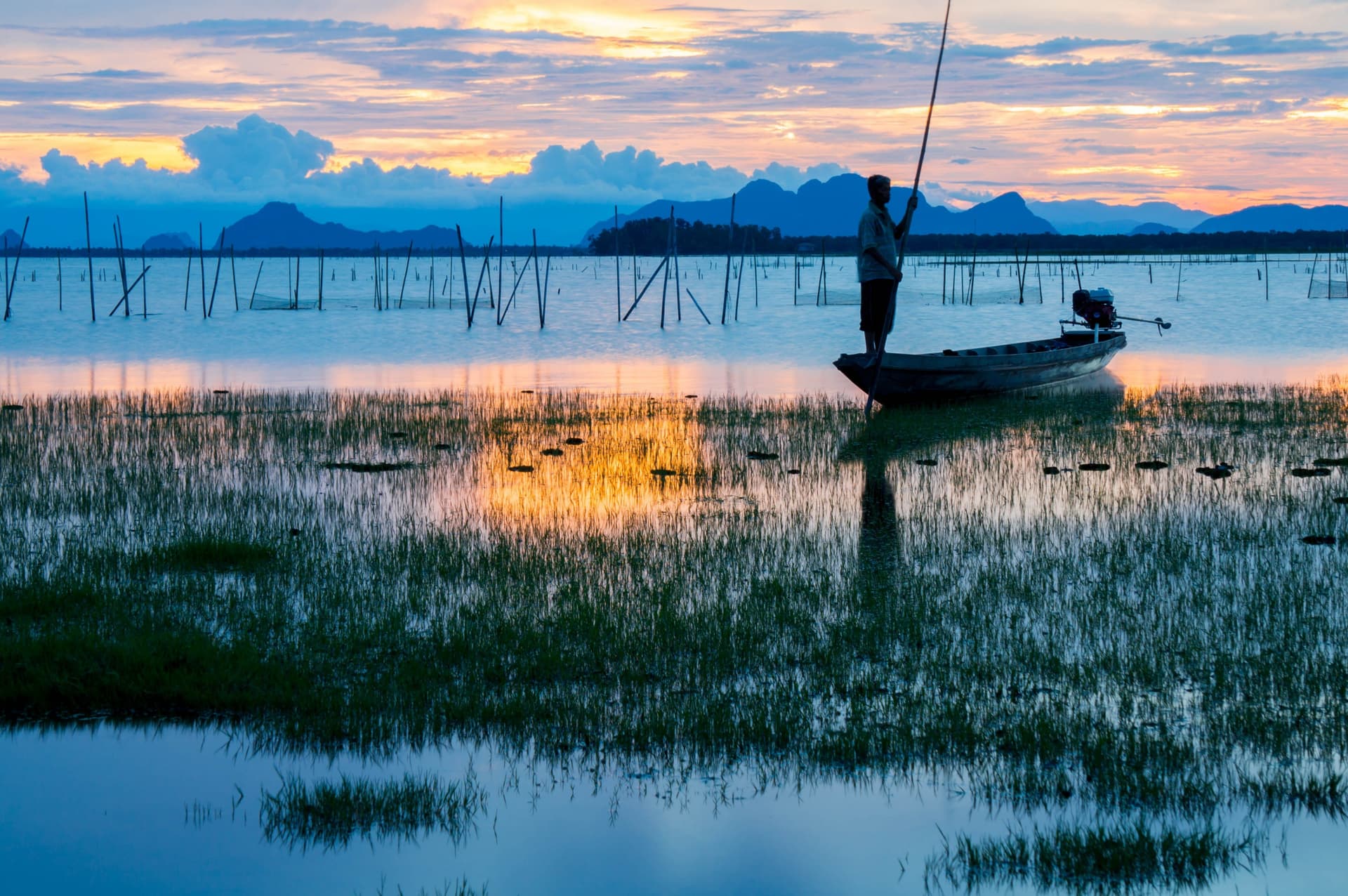 Grand Parco degli Uccelli Acquatici di Thale Noi